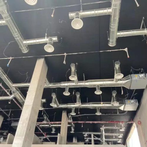 WhatsApp Image 2026-03-05 at 22.56.36